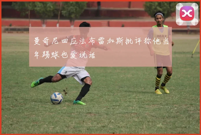 曼奇尼回应法布雷加斯批评称他当年踢球也爱说话