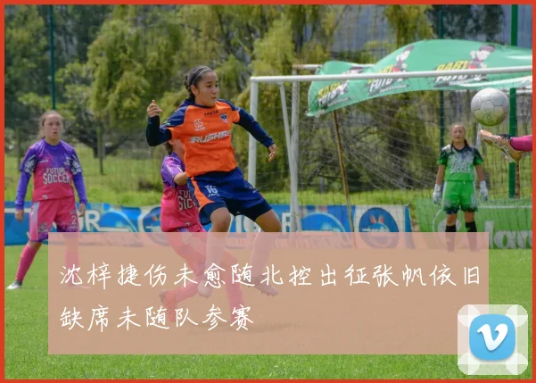 沈梓捷伤未愈随北控出征张帆依旧缺席未随队参赛