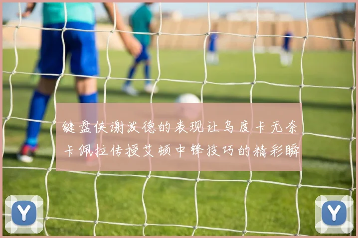 键盘侠谢泼德的表现让乌度卡无奈卡佩拉传授艾顿中锋技巧的精彩瞬间