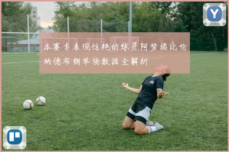 本赛季表现惊艳的球员阿努诺比伦纳德布朗单场数据全解析