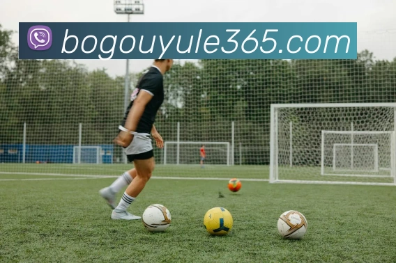 博狗娱乐平台生态图