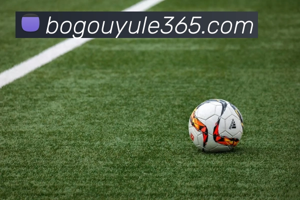 博狗娱乐APP 封面图